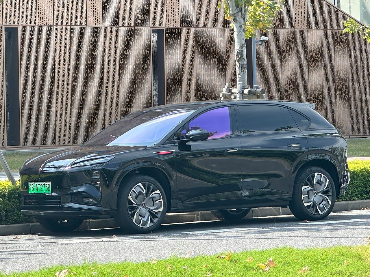 Hongqi Tiangong 08 (EHS7) الجانب