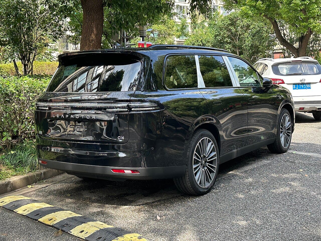 Leapmotor C16 الخلف
