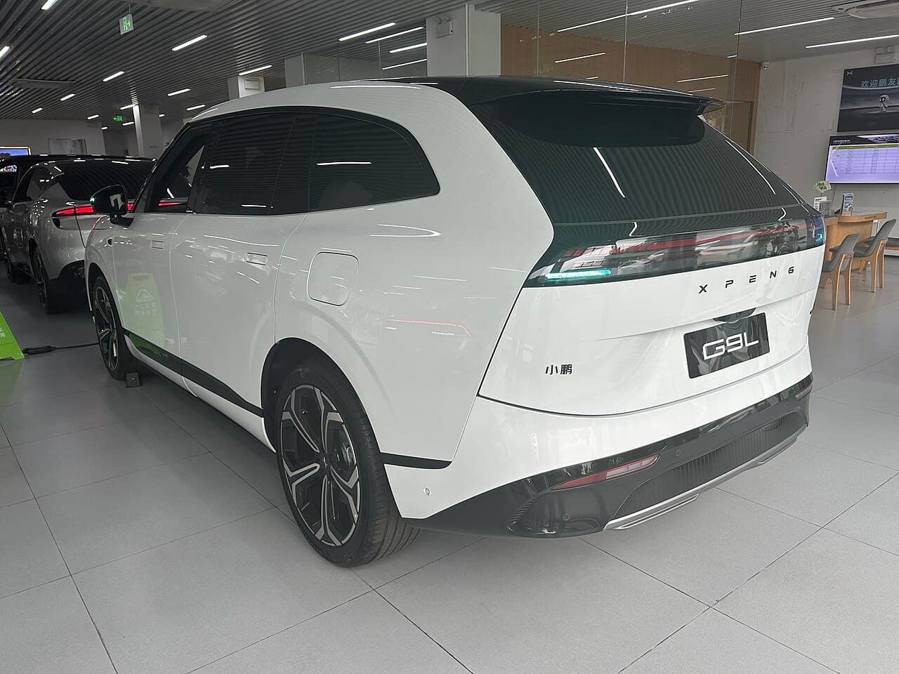XPeng G9L الخلف