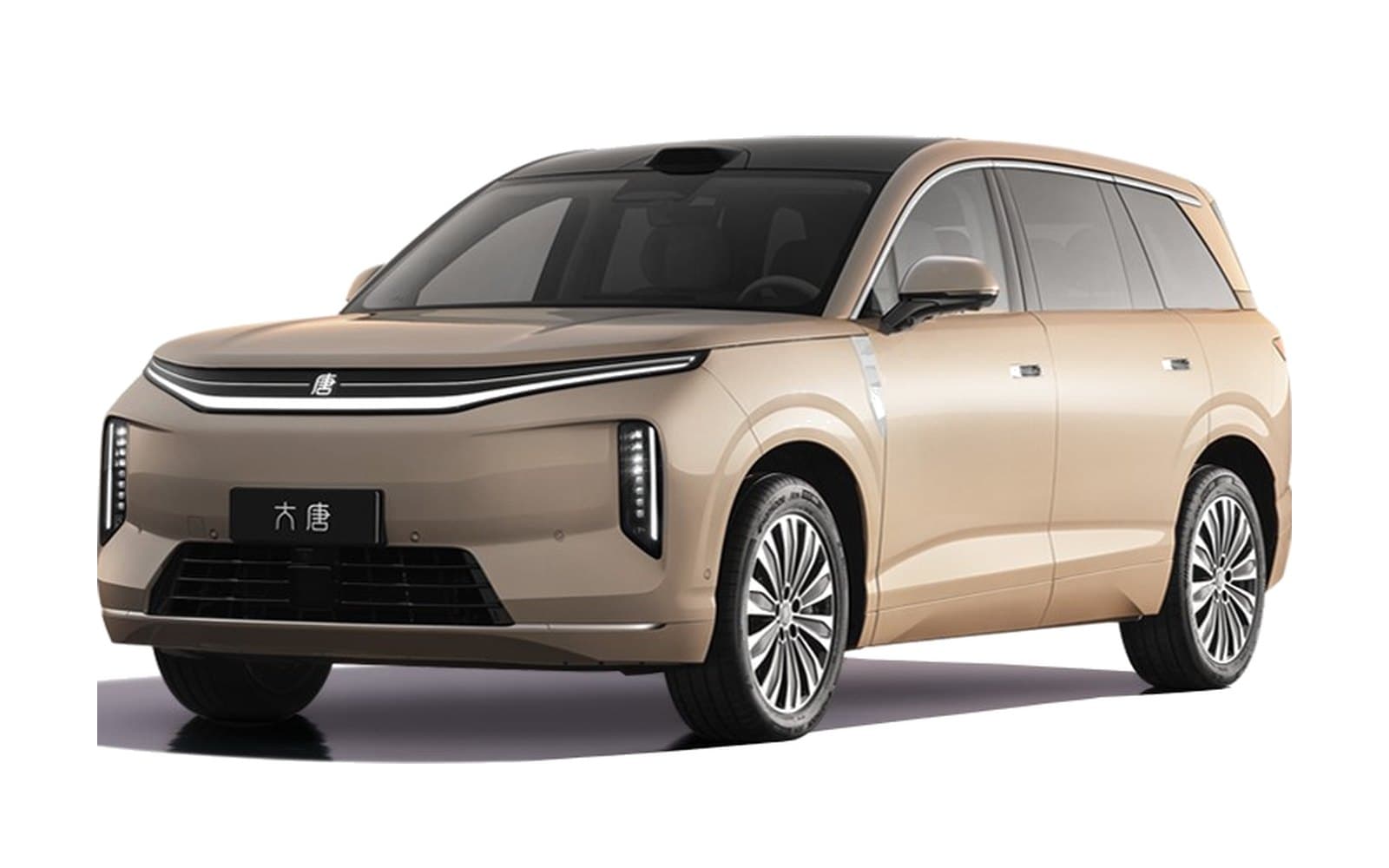 BYD Da Tang EV بيج مُرقَّط بالذهب الخارج