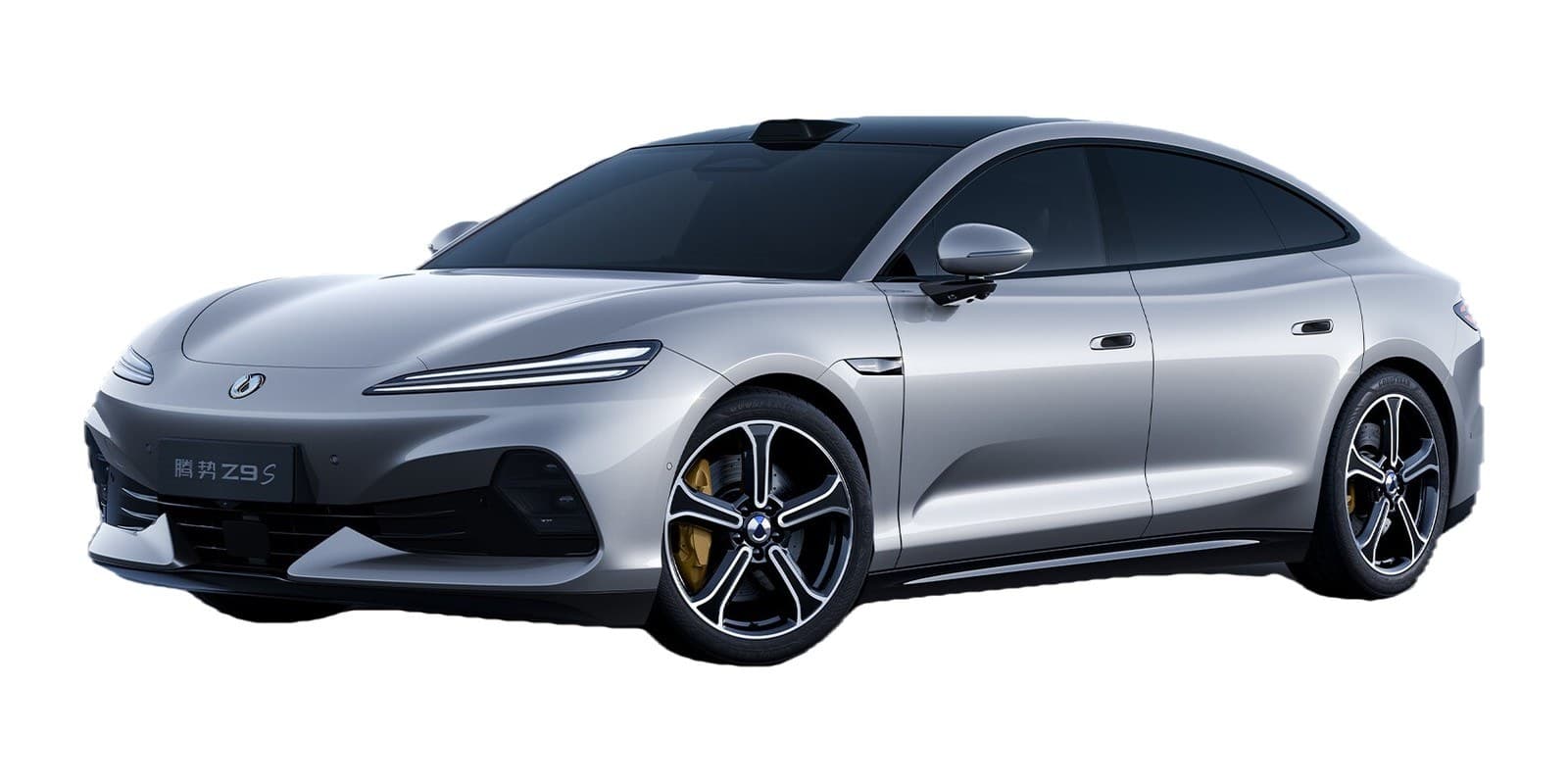 Denza Z9S