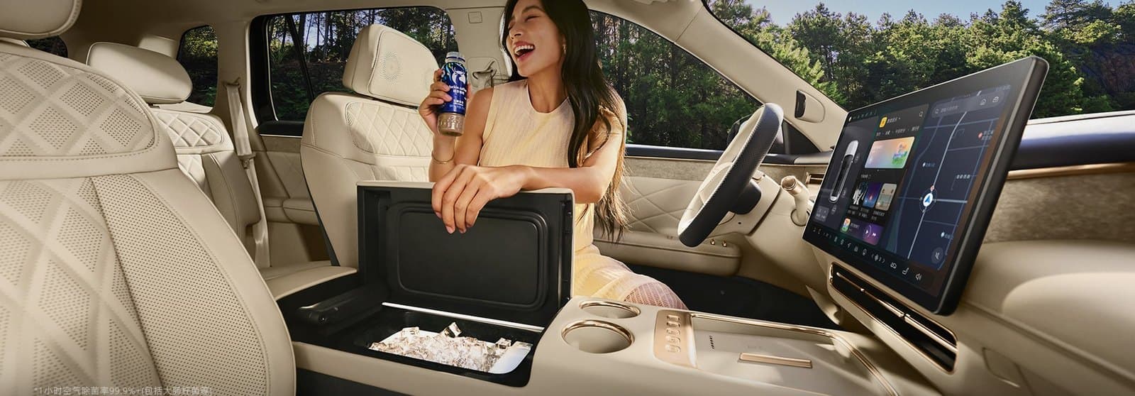 Roewe Jiayue 07 Hot-and-cold fridge