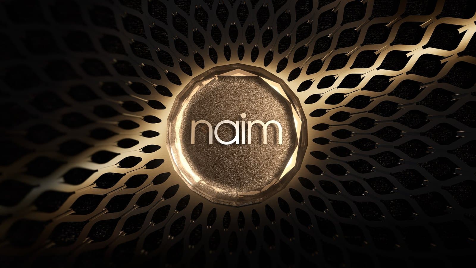 Zeekr 9X نظام صوت Naim