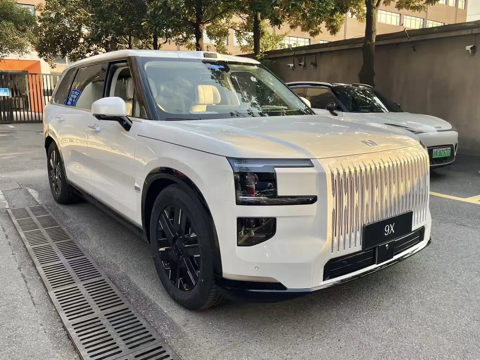 Zeekr 9X، منظر جانبي